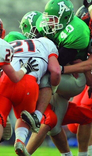 AllemanFB112010js
